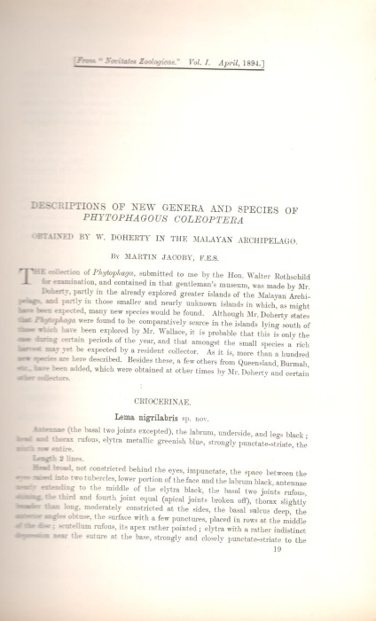 Jacoby, M. - Descriptions of New Genera and Species of Phytophagous Coleoptera obtained by W. Doherty in the Malayan Archipelago/ Descriptions of New Genera and Species of Phytophagous Coleoptera from Africa and Madagascar