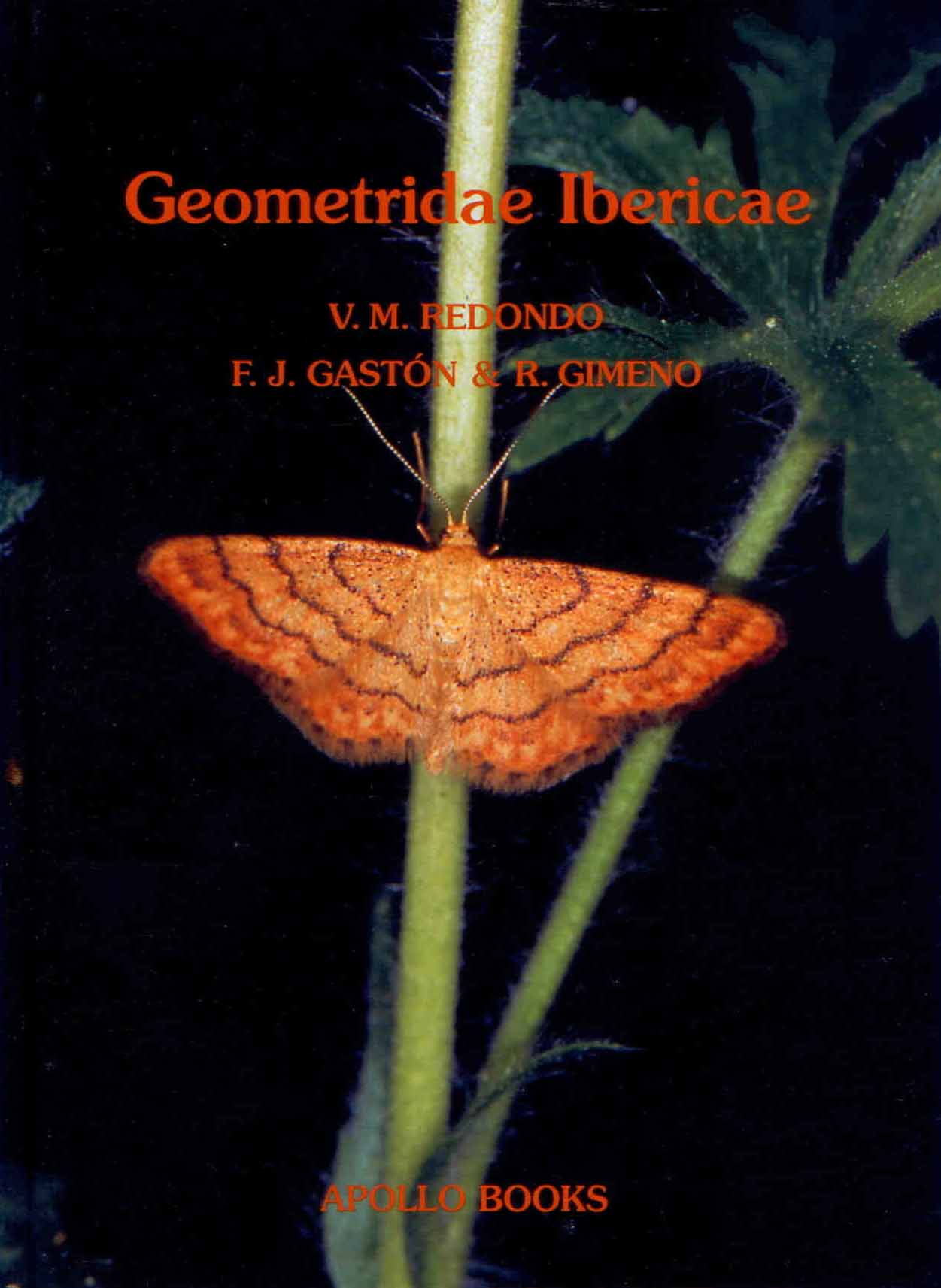 Redondo, V.M.; Gaston, F.J.; Gimeno, R. - Geometridae Ibericae