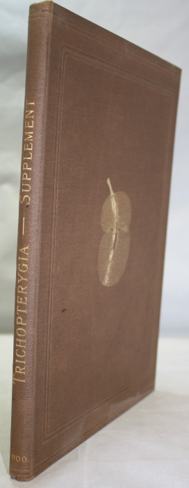Matthews, A.; Mason, P.B. - Trichopterygia illustrata et descripta. A Monograph of the Trichopterygia. Supplement