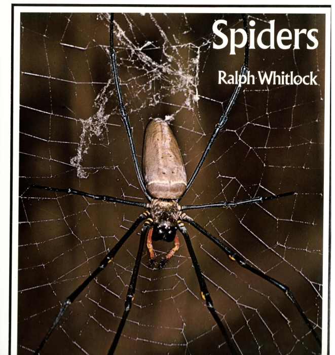Whitlock, R. - Spiders