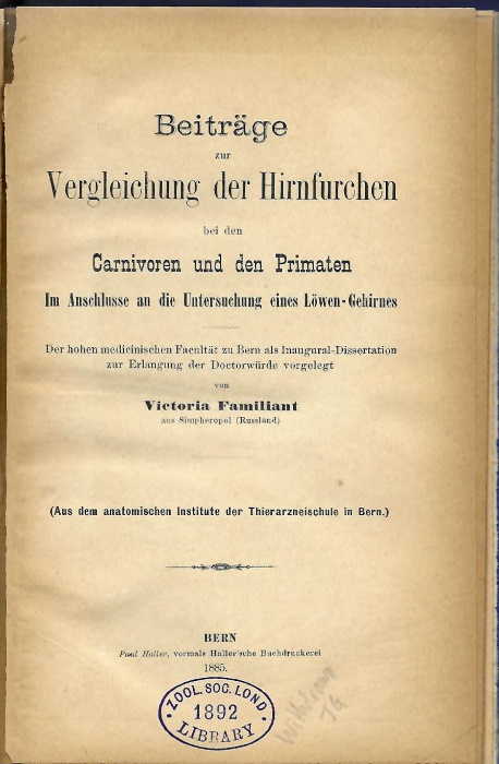 Familiant V. - Beitrge zur Vergleichen der Hirnfurchen bei den Carnivoren und Primaten