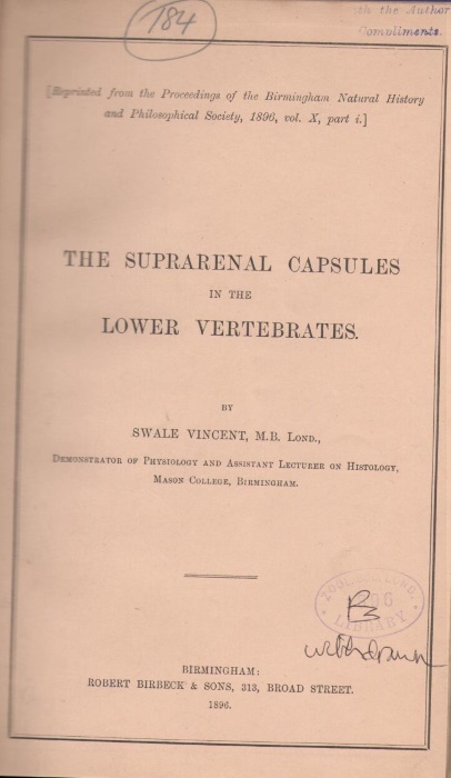 Vincent, S. - The Suprarenal Capsules in the Lower Vertebrates