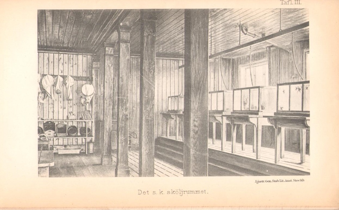 Theel, H. - Z195: Sveriges Zoologiska Hafsstation Kristineberg