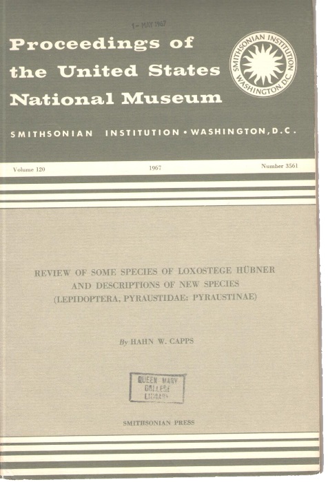 Capps, H.W. - Review of some species of Loxostege Hbner and Descriptions of New Species(Lepidoptera, Pyraustidae: Pyraustinae)