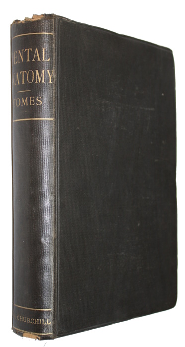 Tomes, C.S. - A Manual of Dental Anatomy Human and Comparative