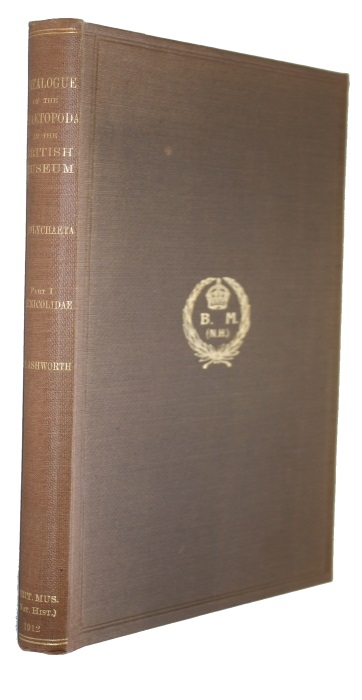Ashworth, J.H. - Catalogue of the Chaetopoda in the British Museum (Natural History) A. Polychaeta: Pt. 1. Arenicolidae