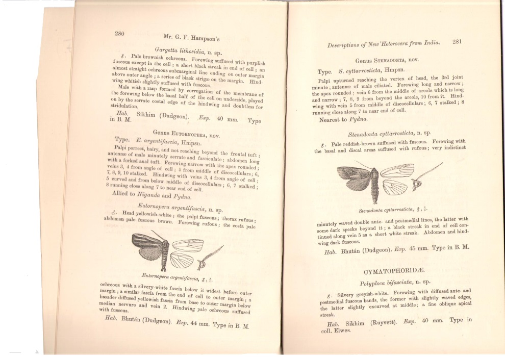 Hampson, G.F. - Descriptions of New Heterocera from India