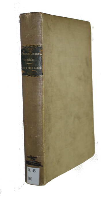 Ludwig, H. - Dr. H.G. Bronns Klassen und Ordnungen des Tierreichs. Bd. 2, Abt. III: Echinodermen (Stachelhater). I Buch: Die Seewalzen