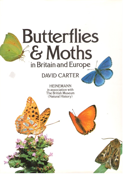 Carter, D. - Butterflies and Moths in Britain and Europe