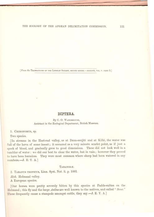 Waterhouse, C.O. - The Zoology of the Afghan Delimitation Commission: Diptera