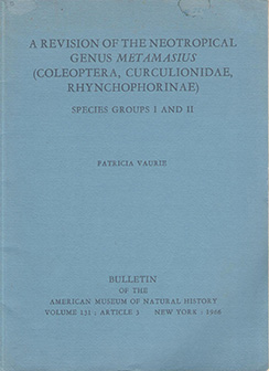 Vaurie, P. - A Revision of the Neotropical Genus Metamasius (Coleoptera, Curculionidae, Rhynchophorinae) Species Groups I and II