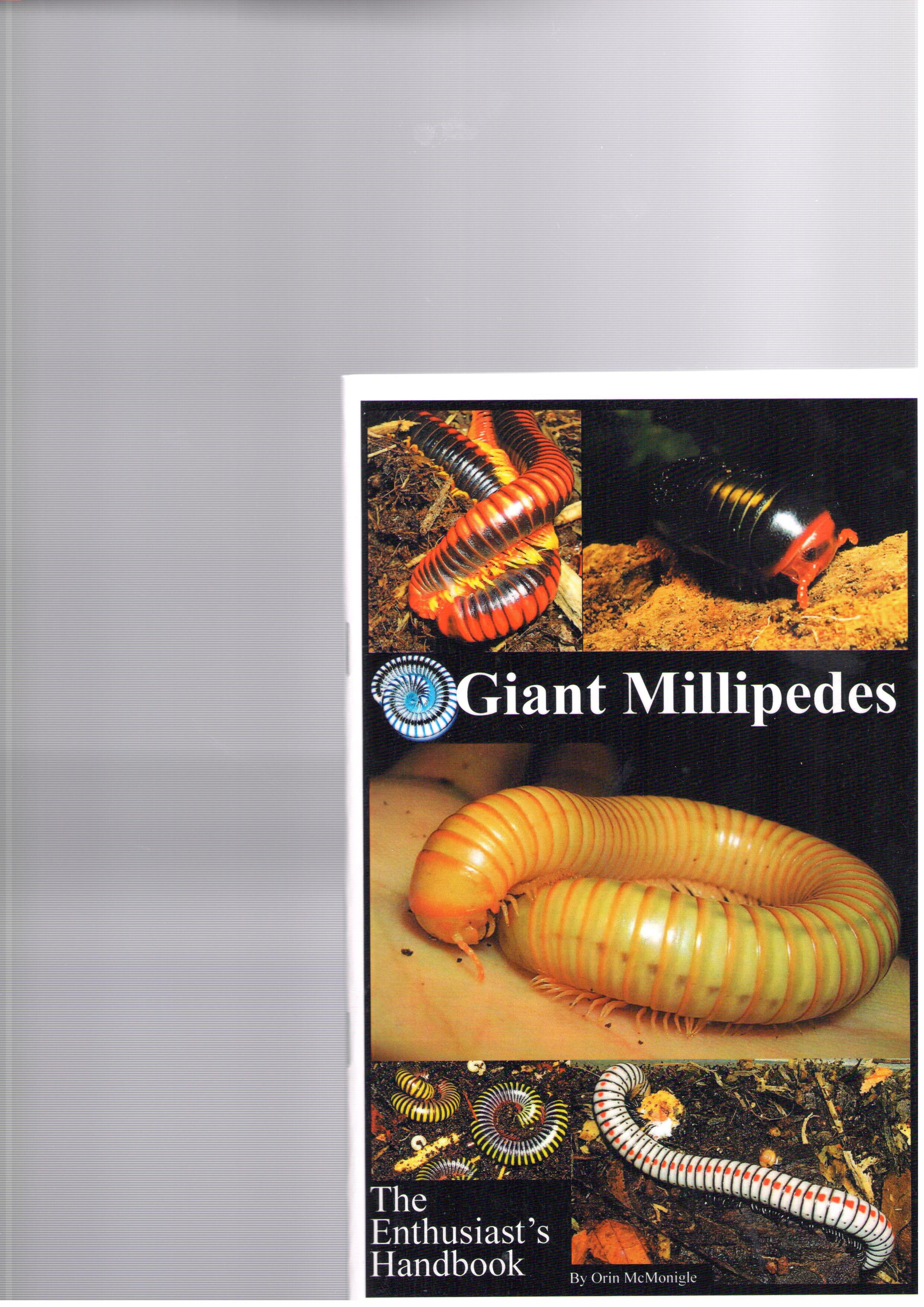 McMonigle, O. - Giant Centipedes The Enthusiast's Handbook
