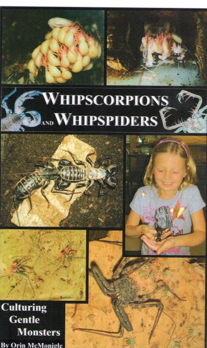 McMonigle, O. - Whipscorpions and Whipspiders Culturing Gentle Monsters