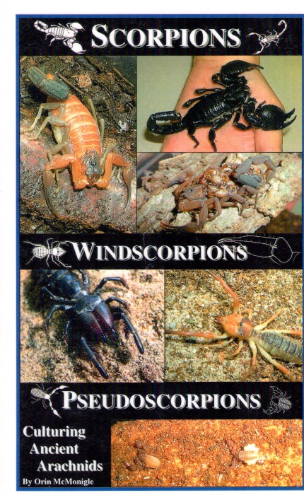 McMonigle, O. - Culturing Ancient Arachnids: Scorpions, Windscorpions, Pseudoscorpions