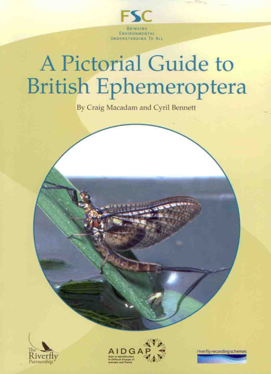 Macadam, C.; Bennett, C. - A Pictorial Guide to the British Ephemeroptera