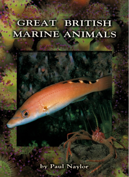 Naylor, P. - Great British Marine Animals