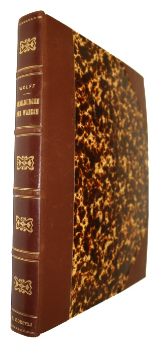 Wolff, J.F. - Abbildungen der Wanzen. Heft 1-5