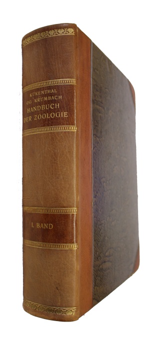 Broch, H.; Hartmann, M.; Hentschel, E.; Jollos, V.; Kkenthal, W.; Krumbach, T.; Moser, F.; Pax, F.; Rhumbler, L. (Eds) - Protozoa, Porifera, Coelenterata, Mesozoa Handbuch der Zoologie. Bd. 1
