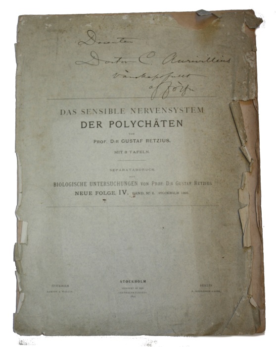 Retzius, G. - Das Sensible Nervensystem der Polychten