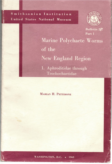 Pettibone, M.H. - Marine Polychaete Worms of the New England Region 1. Aphroditidae through Trochochaetidae