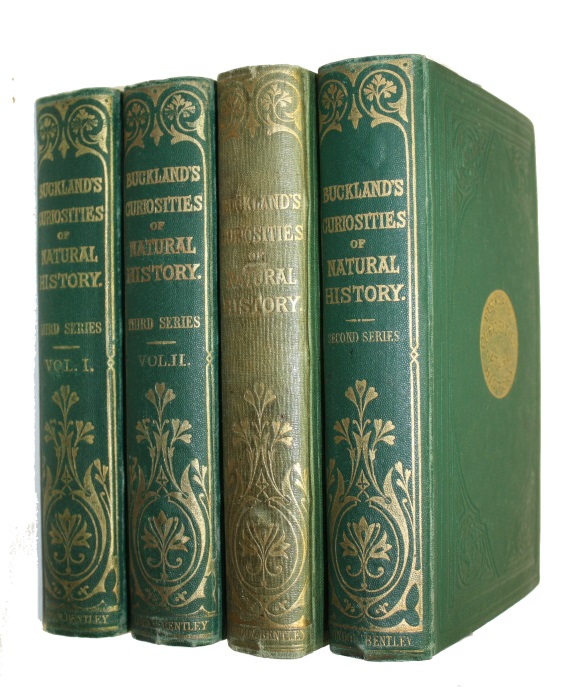 Buckland, F.T. - Curiosities of Natural History