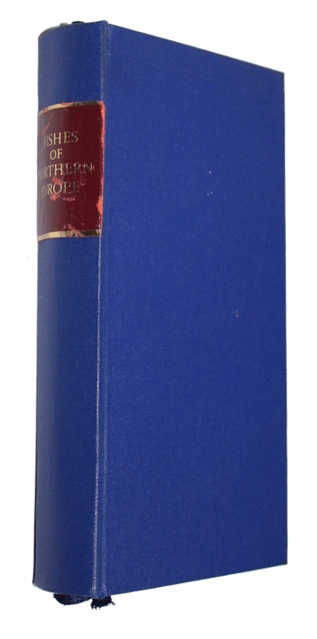 Wheeler, A. - Key to the Fishes of Northern Europe