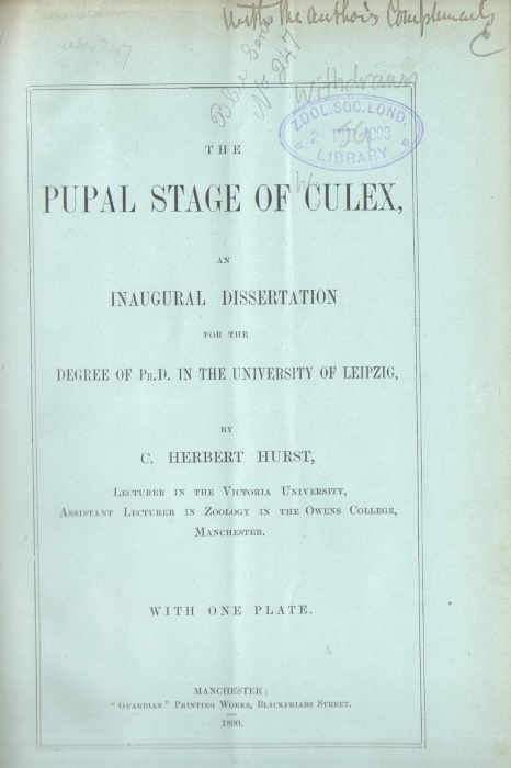 Hurst, C.H. - The Pupal Stage of Culex