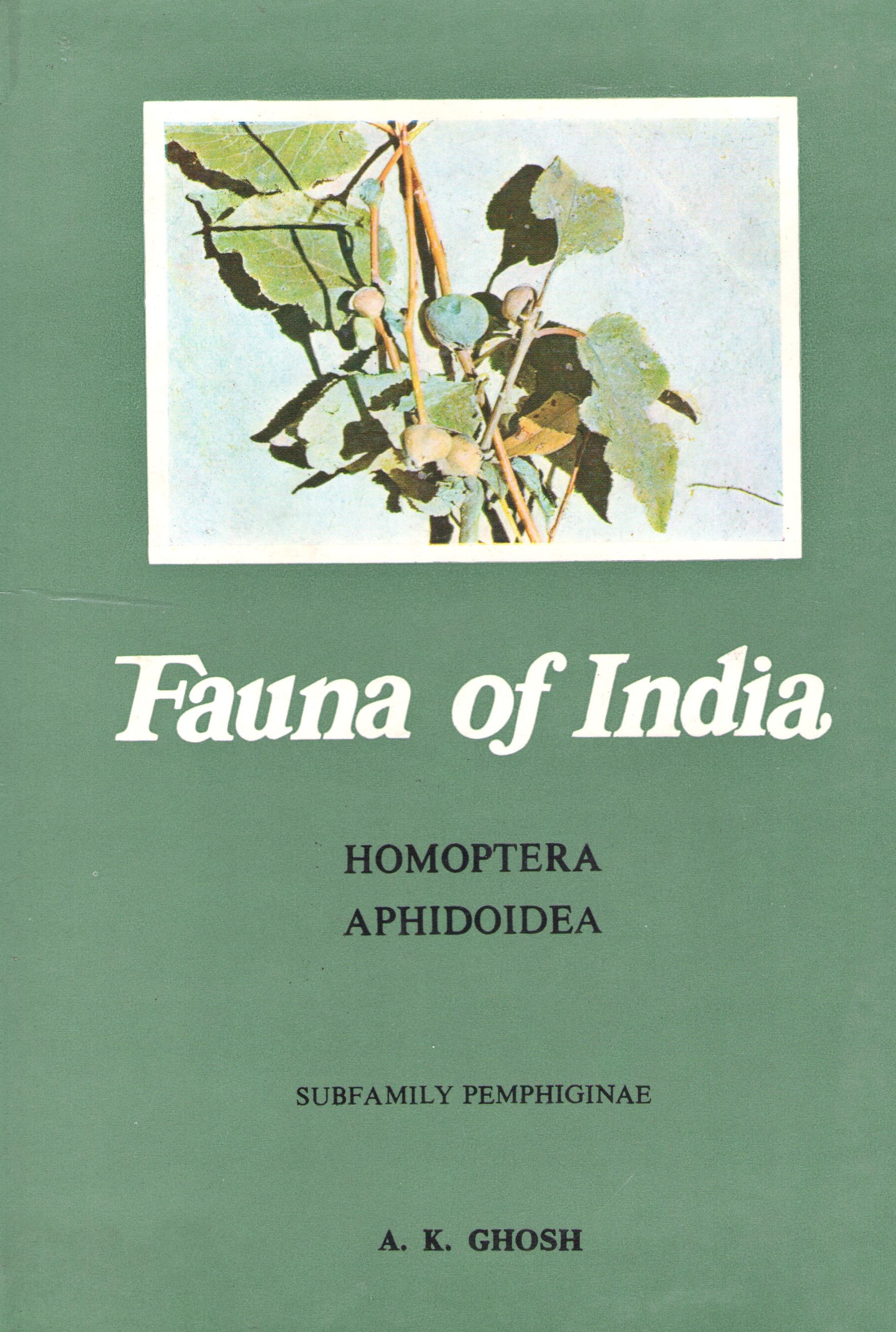 Ghosh, A.K. - Homoptera: Aphidoidea 3. Pemphiginae (Fauna of India)