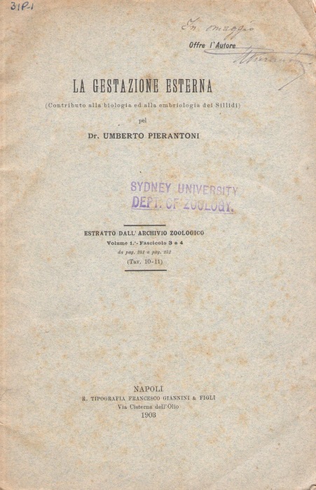Pierantoni, U. - La Gestazione Esterna (Contributo biologia ed alla embriologia dei Sillidi)