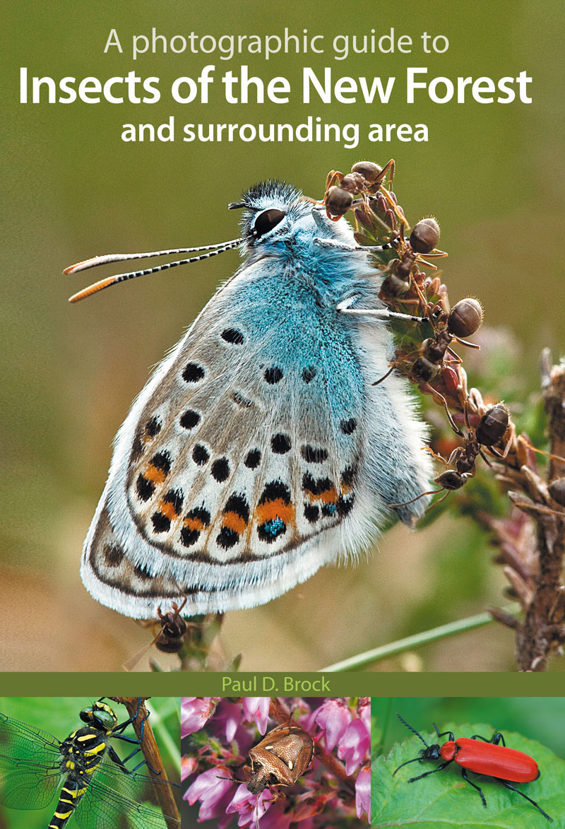 Brock, P.D. - A photographic guide to Insects of the New Forest and surrounding area