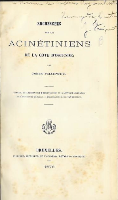 Fraipont, J. - Recherches sur les Acintiniens de la Cote d'Ostende