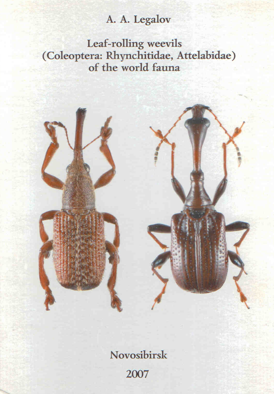 Legalov, A.A. - Leaf-Rolling Weevils (Coleoptera: Rhynchitidae, Attelabidae) of the World Fauna