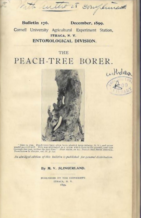 Slingerland, M.V. - The Peach-tree Borer