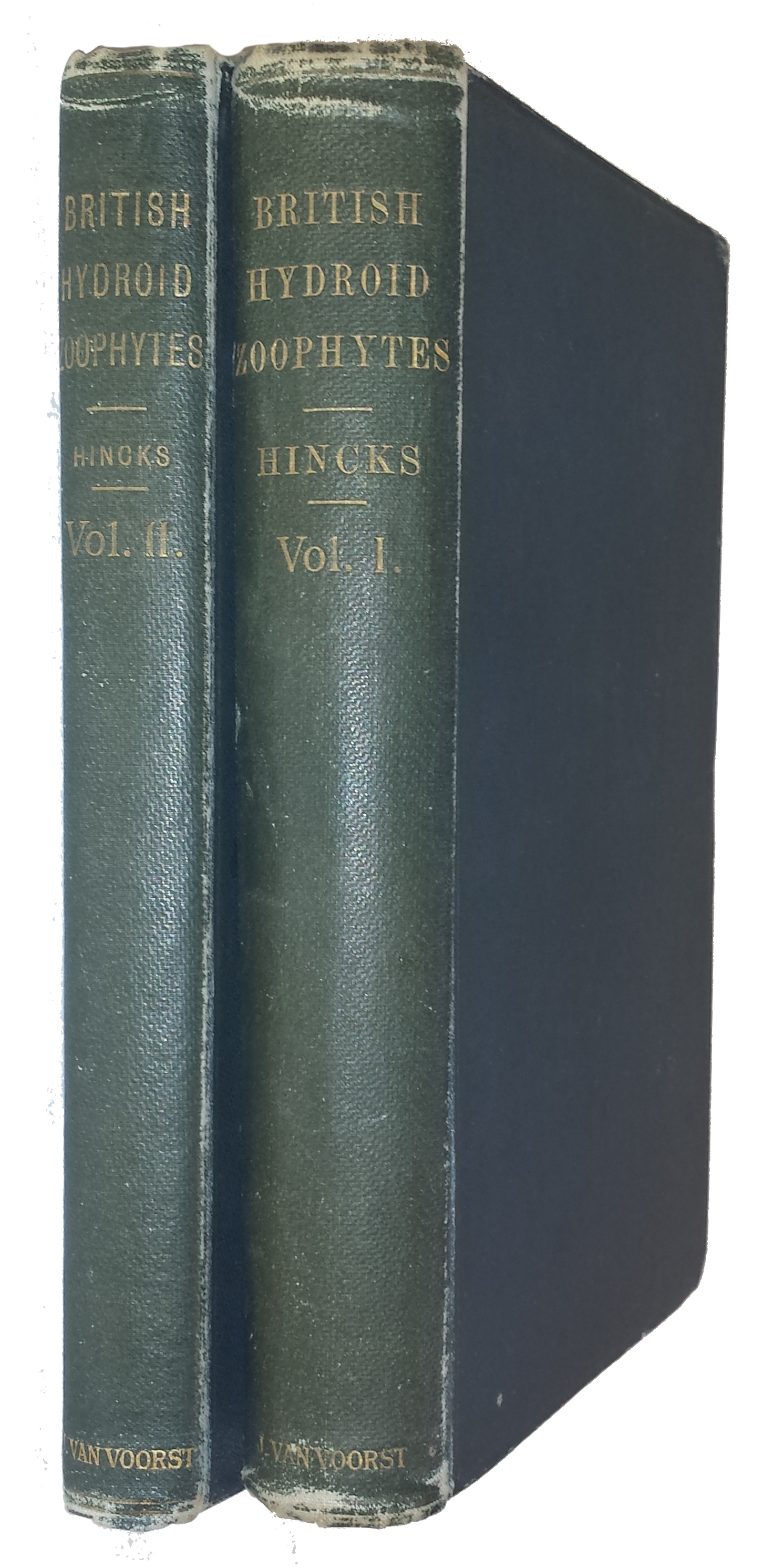 Hincks, T. - A History of the British Hydroid Zoophytes. Vol. I-II