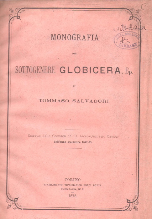 Salvadori, T. - Monografia del sottogenere Globicera, Bp.
