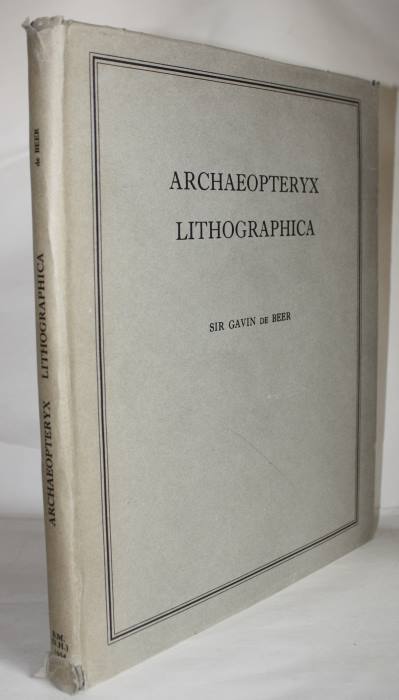 De Beer, G. - Archaeopteryx lithographica: A study based upon the British Museum specimen