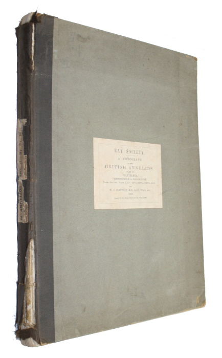 McIntosh, W.C. - A Monograph of the British Annelids. Part II. Polychaeta. Amphinomidae to Sigalionidae
