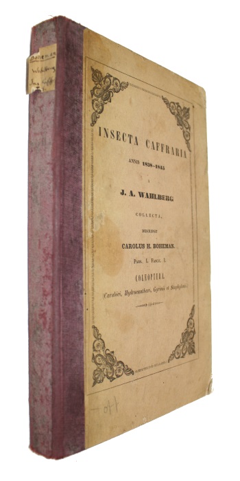 Boheman, C.H. - Insecta Caffraria Annis 1838-1845 a J.A. Wahlberg collecta. Pars. I. Fascic. I. Coleoptera (Carabici Hydrocanthari, Gyrinii et Staphylinii)