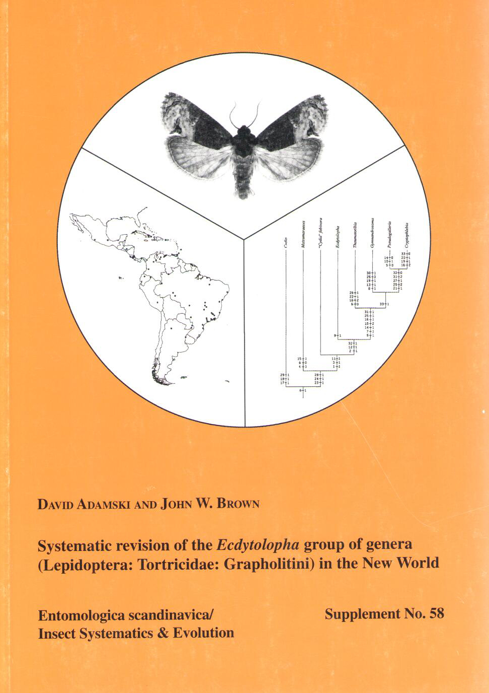 Adamski, D.; Brown, J.W. - Systematic revision of the Ecdytolopha group of genera (Lepidoptera: Tortricidae: Grapholitini) in the New World