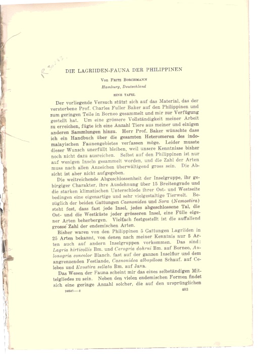 Borchmann, F. - Die Lagriiden-Fauna der Philippinen