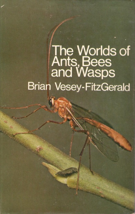 Vesey-Fitzgerald, B. - The Worlds of Ants, Bees and Wasps