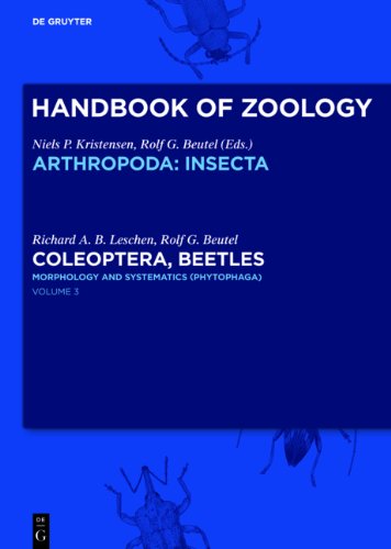Leschen, R.A.B.; Beutel, R.G. (Eds) - Coleoptera, Beetles. Vol. 3: Morphology and Systematics (Phytophaga) (Handbuch der Zoologie)
