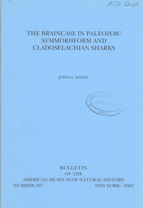 Maisey, J.G. - The Braincase in Paleozoic Symmoriiform and Cladoselachian Sharks