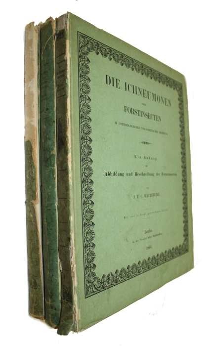 Ratzeburg, J.T.C. - Die Ichneumonen der Forstinsecten in forstlicher und entomologischer Beziehung. Ein Anhang zur Abbildung und Beschreibung der Forstinsecten. [Bd. I-III]
