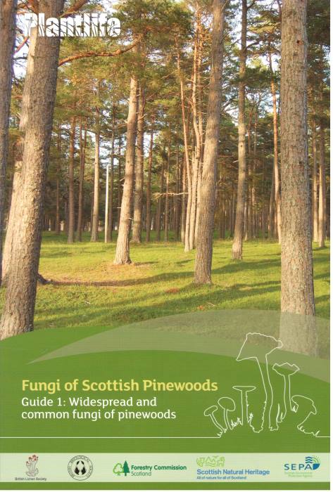  - Fungi of Scottish Pinewoods: Guide 1 - Widespread and common fungi of pinewoods