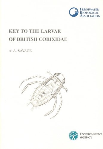 Savage, A.A. - Key to the Larvae of British Corixidae