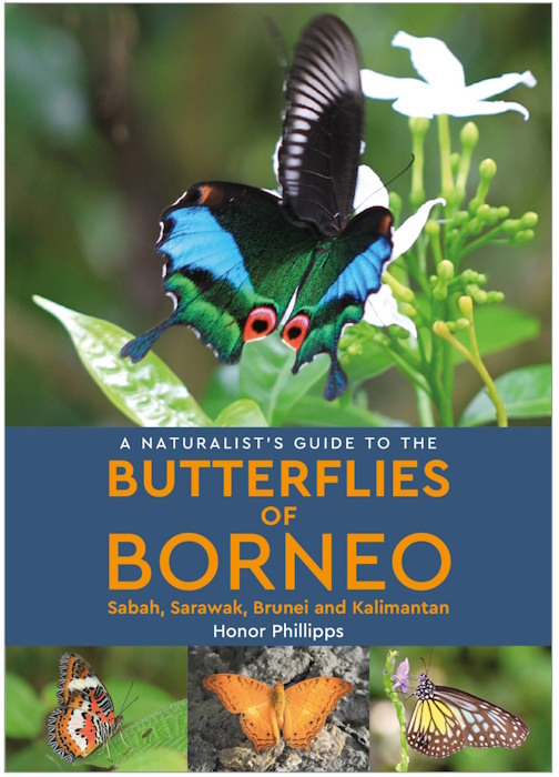 Phillipps, H. - A Naturalist's Guide to the Butterflies of Borneo