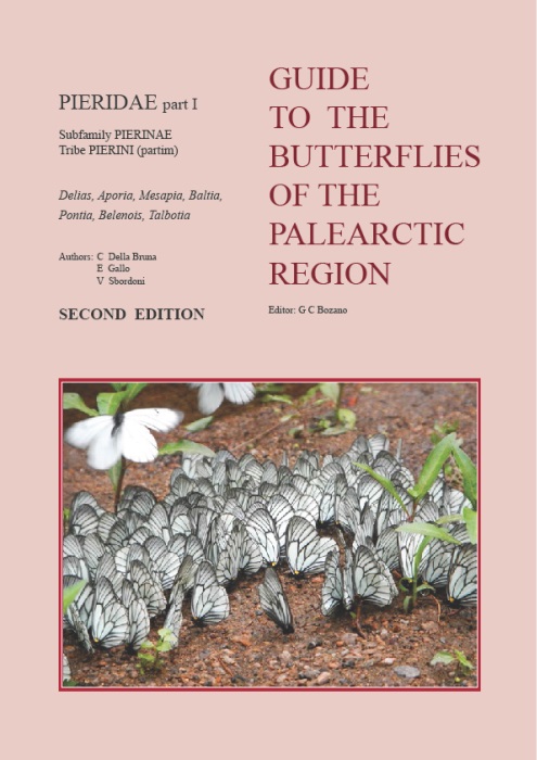 Della Bruna, C.; Gallo, E.; Sbordoni, V. - Guide to the Butterflies of the Palearctic Region: Pieridae 1:  Subfamily Pierinae, Tribe Pierini (partim)