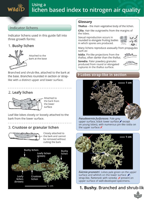 Wolseley, P.A.; Leith, I.D.; Sheppard, L.J.; Lewis, J.E.J.; Crittenden, P.D.; Sutton, M.A. - Guide to using a lichen based index to nitrogen air quality (Identification Chart)
