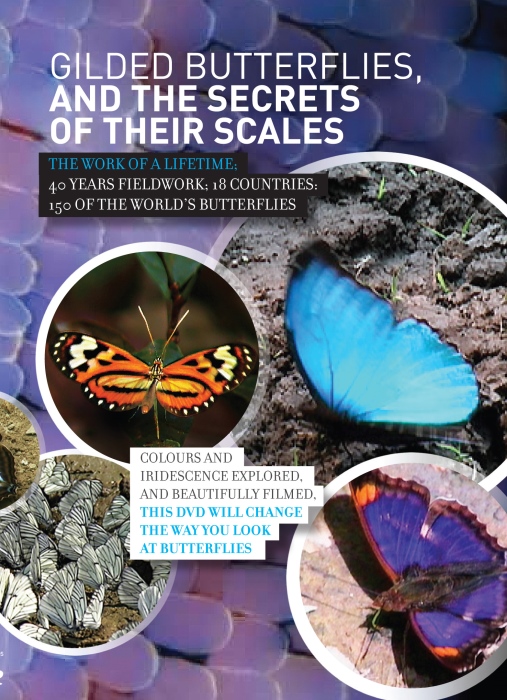 Banks, J. - Gilded Butterflies and the Secrets of their Scales (DVD)